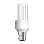 Compact Fluorescent Bulb
